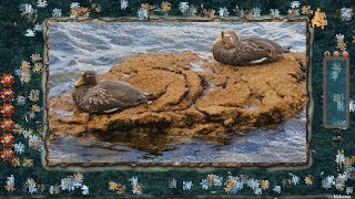 Pixel Puzzles 2: Birds Gameplay P.9