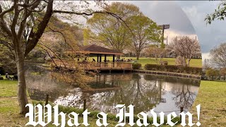 Just want to feel the coolness and freshness of Kusabana Park! So haven😘😘😘