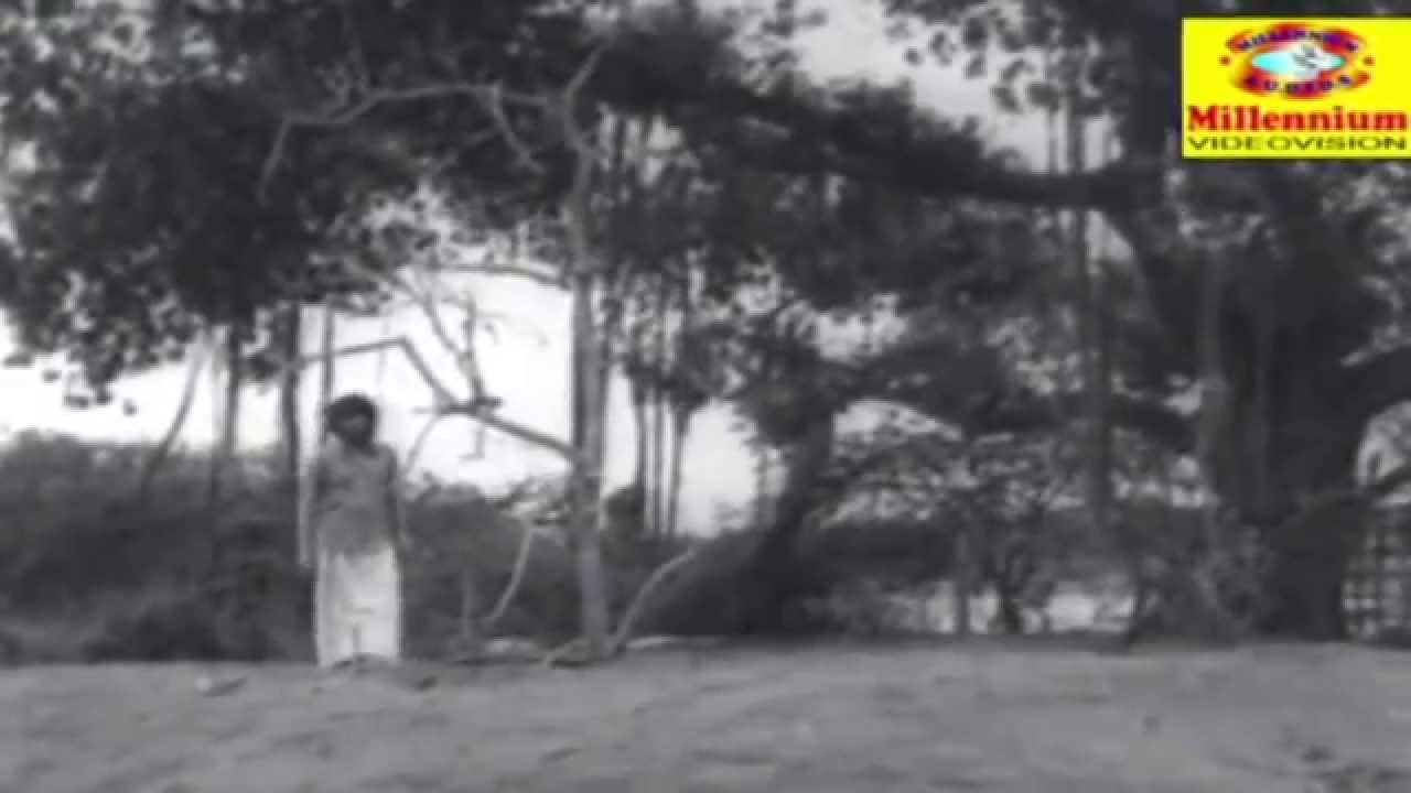 Naalum Romba Aachu Song Lyrics | Raman Sreeraman