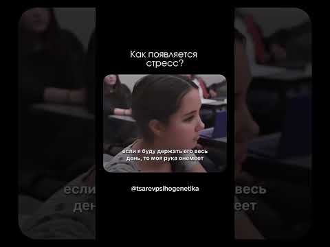 28 февраля 2026 г.