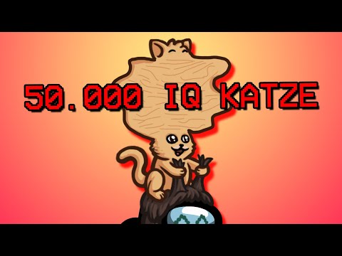 Katzes 50.000 IQ Play | FeineKatze | Among Us