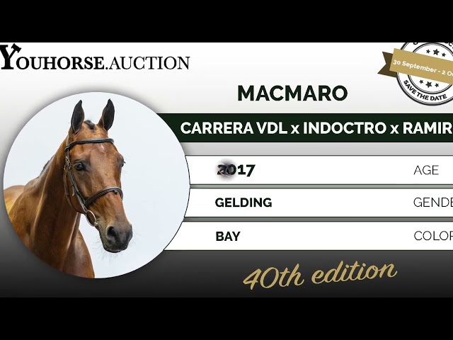 Macmaro Tryout