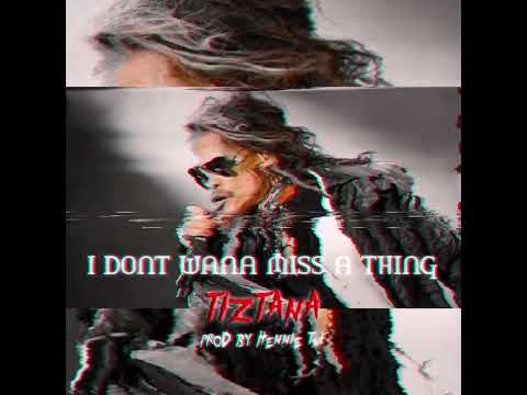 Tiztana - Don’t Wanna Miss A Thing (Audio)