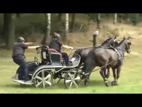 MEgional - 2016-07-27 - Unsere Nachrichten für das Mittlere Erzgebirge