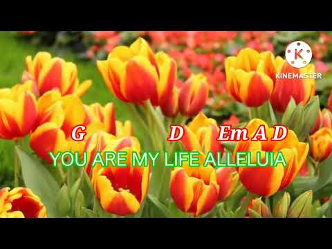 Jesus Christ, You Are My Life - Jovens em Canção