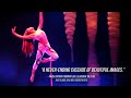 Daksha Sheth Dance Company Promo