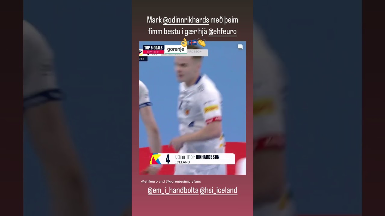 Ísl - Svartfjallaland - EM24