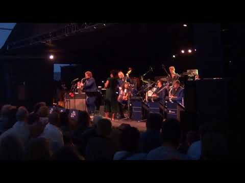 Tutu Puoane - Brussels Jazz Orchestra ( Someday We'll All Be Free )