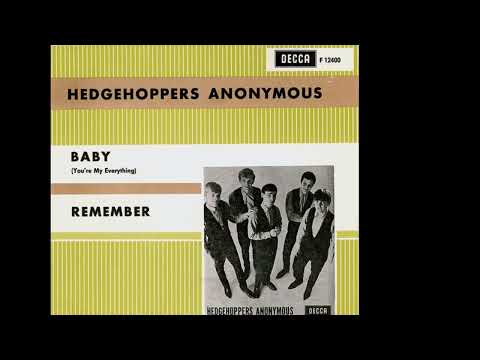 The Hedgehoppers Anonymous - Remember 1966