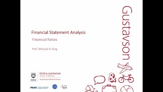 Michael R King COM371 19a Financial Ratios