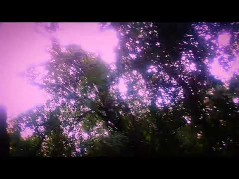 DOWNTRIX - MASA - 2020