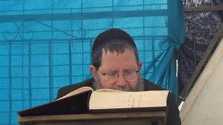 הרב רפאל גריינימן - דף היומי מסכת שבת דף כד - ה ניסן תש"פ