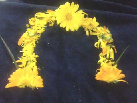 Beautiful flower background