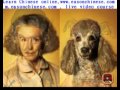1099striking Similarity Between The Animal And Human