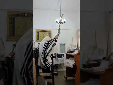 Bitchkov Rebbe Doing Nanuim Sukkos 5783