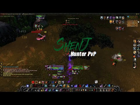 Wotlk Marksman Hunter PvP Daily Highlights Ep.6