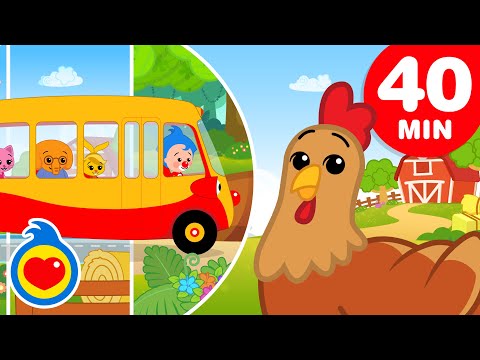 A Roda Do Ônibus Nos Ecossistemas 🐷🐔🐮 | E Mais Canções da Fazenda (40 Min) | Um Herói do Coração