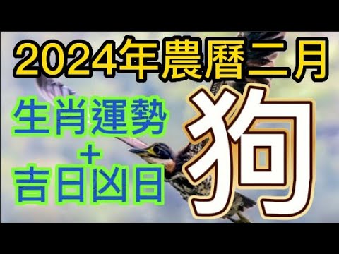 論命