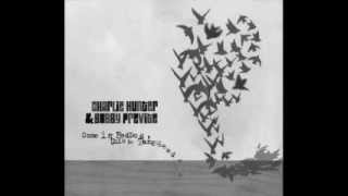 Charlie Hunter & Bobby Previte - The Red Day Strays