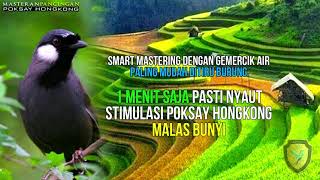 Download lagu HANYA 1 MENIT SAJA! POKSAY HONGKONG PASTI BUNYI, PANCINGAN POKSAY HONGKONG TERBARU mp3 Download lagu HANYA 1 MENIT SAJA! POKSAY HONGKONG PASTI BUNYI, PANCINGAN POKSAY HONGKONG TERBARU mp3