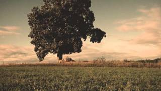 Jose Gonzalez - Stay in the Shade (unofficial music video)