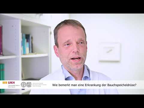 Pankreas und Erkrankungen der Bauchspeicheldrüse