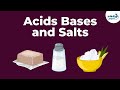 Acids And Bases Introduction Acid Bases And Salts Don T Memorise