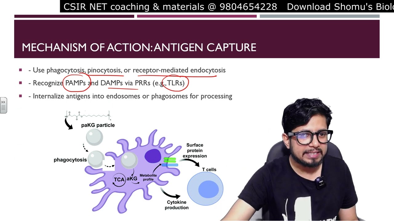 Dendritic cells immunology lecture | Cells of immune system | Shomu's Biology