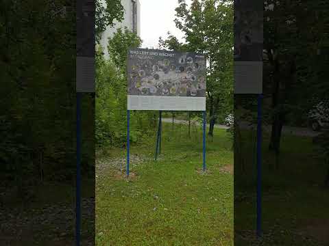 How cement companies lie to us! #cemex #rüdersdorf #zimteule