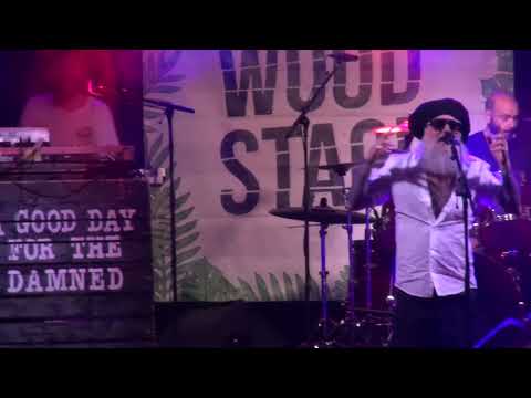 Jaya The Cat - Live - Brakrock 2022