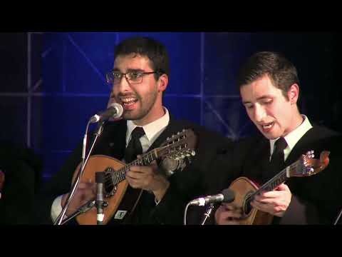 Tuna Universitária do Porto - Madalena (XX TUIST)