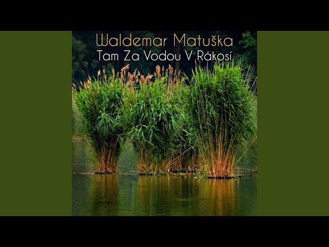 Tam Za Vodou V Rákosí