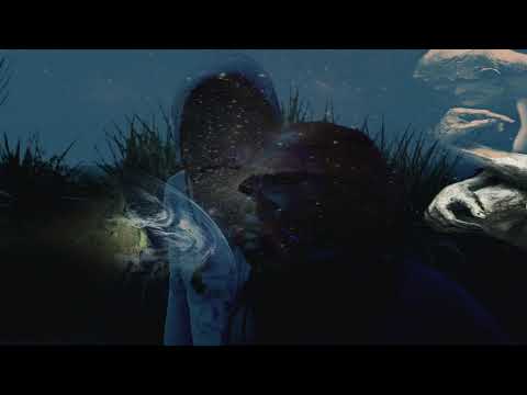 Devin Di Dakta - Zone (Audio Visual) | BARE MEDS