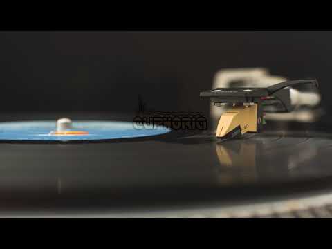 Chris Willis & Lenny Fontana - Top of the World (OPOLOPO Remix)