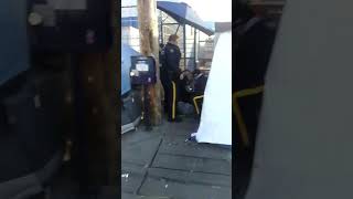 Surrey Strip cold weather tent cut