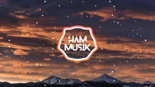 Avicii &amp; Martin Garrix ft. Sean Paul - Never Let Me Go