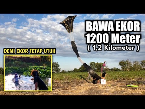 apapun-dilakukan-demi-layangan-ekor-terpanjang-spesial-600k-subscribers-part-3-evlog-117