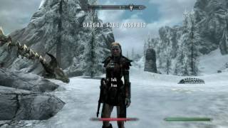 Skyrim SE Ps4 - Possibly the best follower in the game