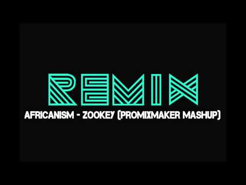 Africanism - Zookey (Remix)