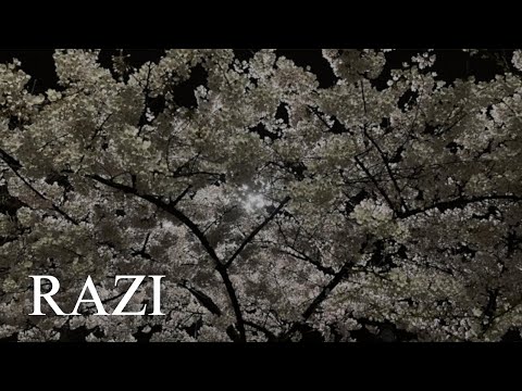 RAZI - Poate că (Official Audio)