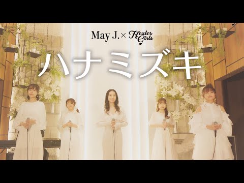 【May J. × ヒーラーガールズ】ハナミズキ(Cover)