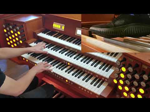 Sabaton: Livgardet/ The Royal Guard (Organ)