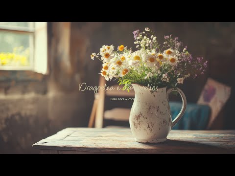 ʟɪᴅɪᴀ ᴀɴᴄᴀ & ᴄᴏᴘɪɪɪ | ᴅʀᴀɢᴏsᴛᴇᴀ ᴇ ᴅᴀʀ ᴘʀᴇᴛɪᴏs