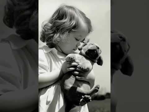 фото оживление фотографий / видео из фото в подарок 0
