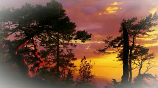 Manuel Carrasco  India Martínez  💕❤💕  Si Me Ves 💕❤💕