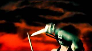 Jerry Cantrell - Anger Rising.flv