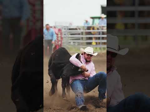Epic Steer Wrestling  #rodeo #cowboy #slowmo