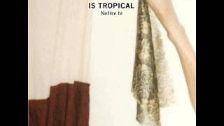 Is Tropical - Land Of The Nod