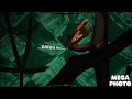 Madagascar 2 End Credits G Major 74 Opposite V2