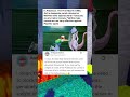 In Pokémon The First Movie 1998 Ash S Desperate Punch Attempt At Mewtwo Fails Spectacularly